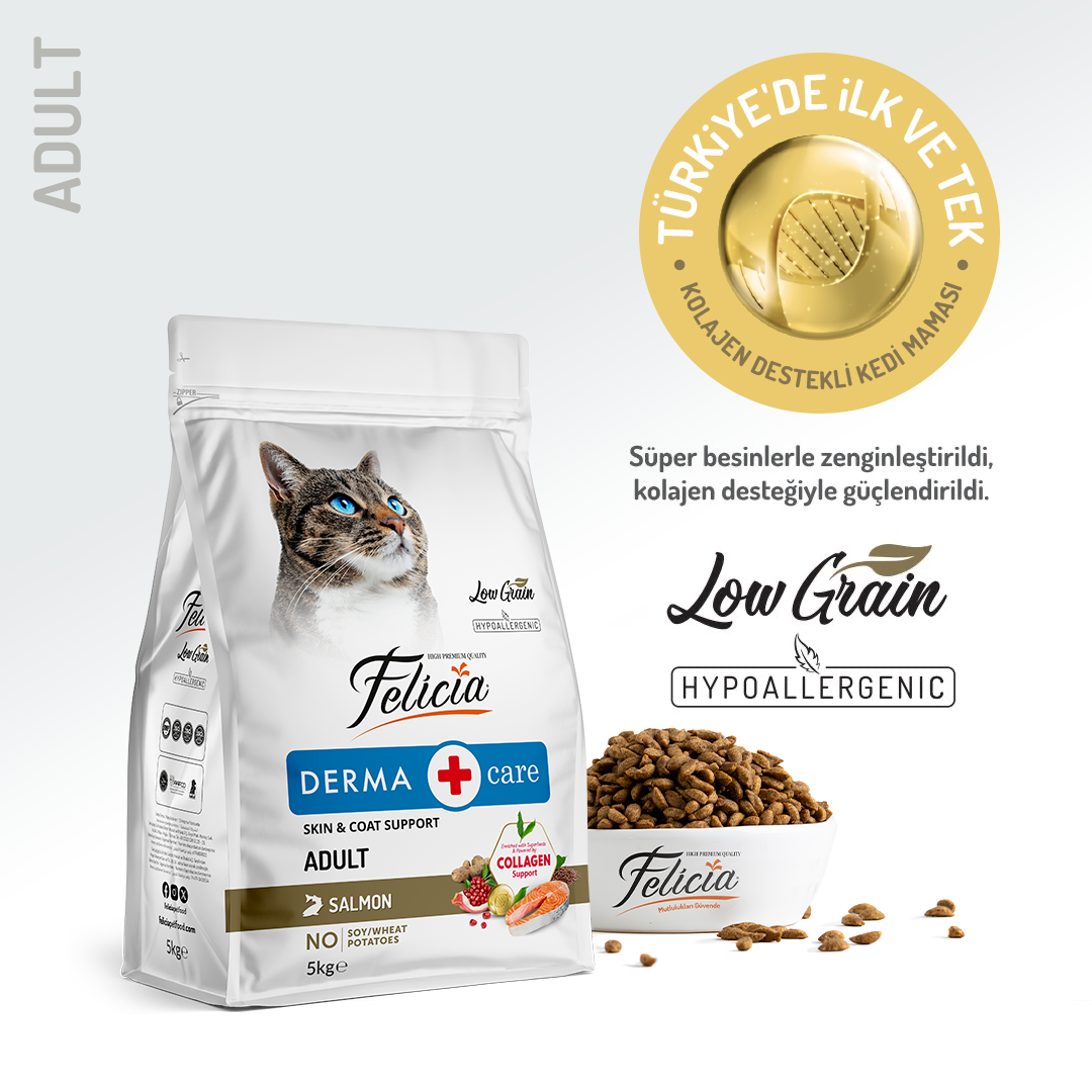 Felicia Kolajen Destekli Hipoalerjenik Somonlu Yetişkin Kedi Maması 5KG