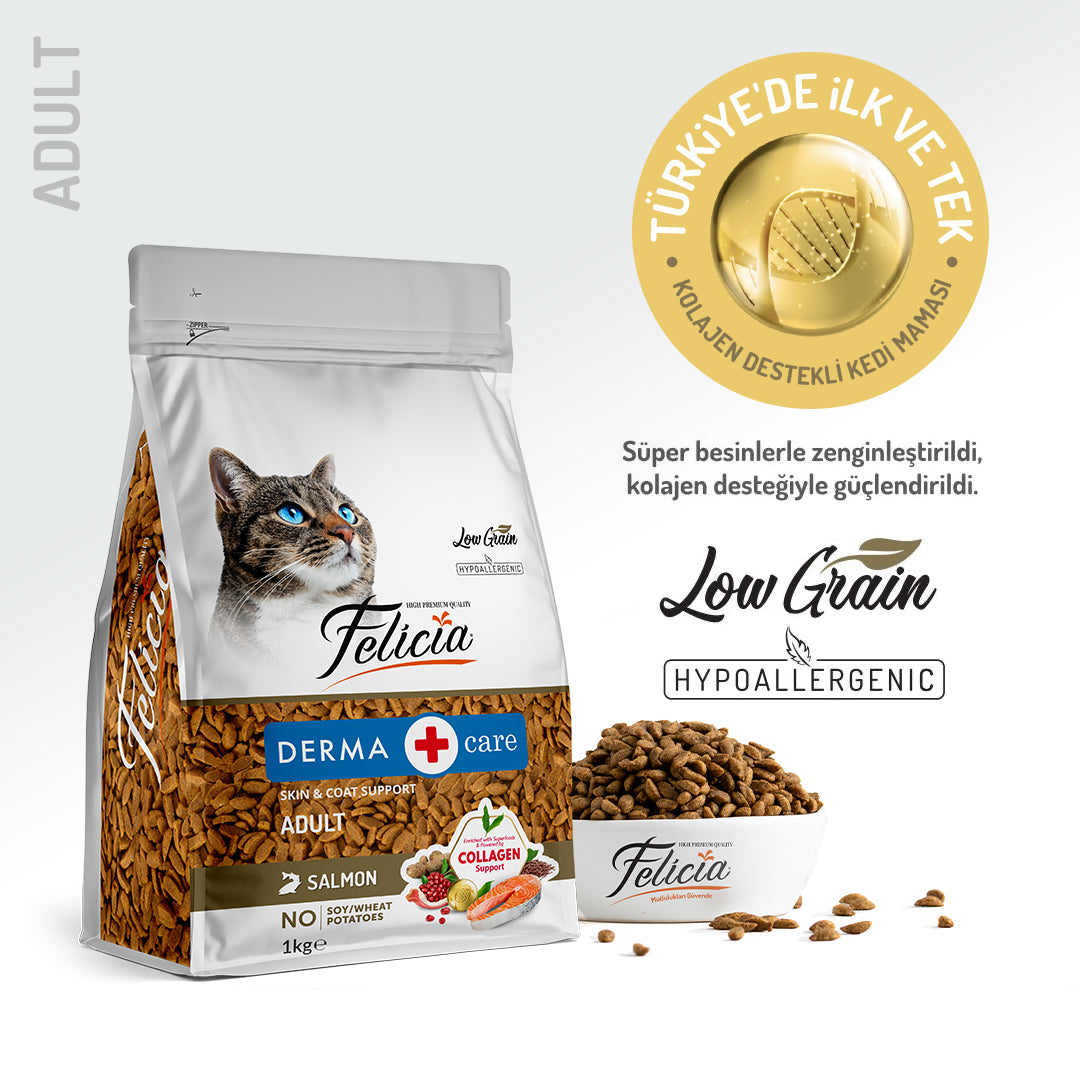 Felicia Kolajen Destekli Hipoalerjenik Somonlu Yetişkin Kedi Maması 1KG