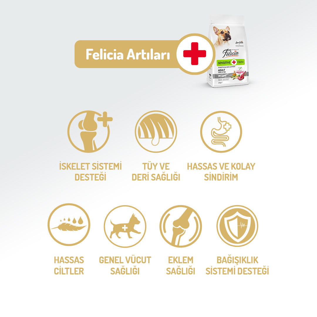 Felicia Kolajen Destekli Hipoalerjenik Kuzulu Yetişkin Küçük Irk Köpek Maması 3KG