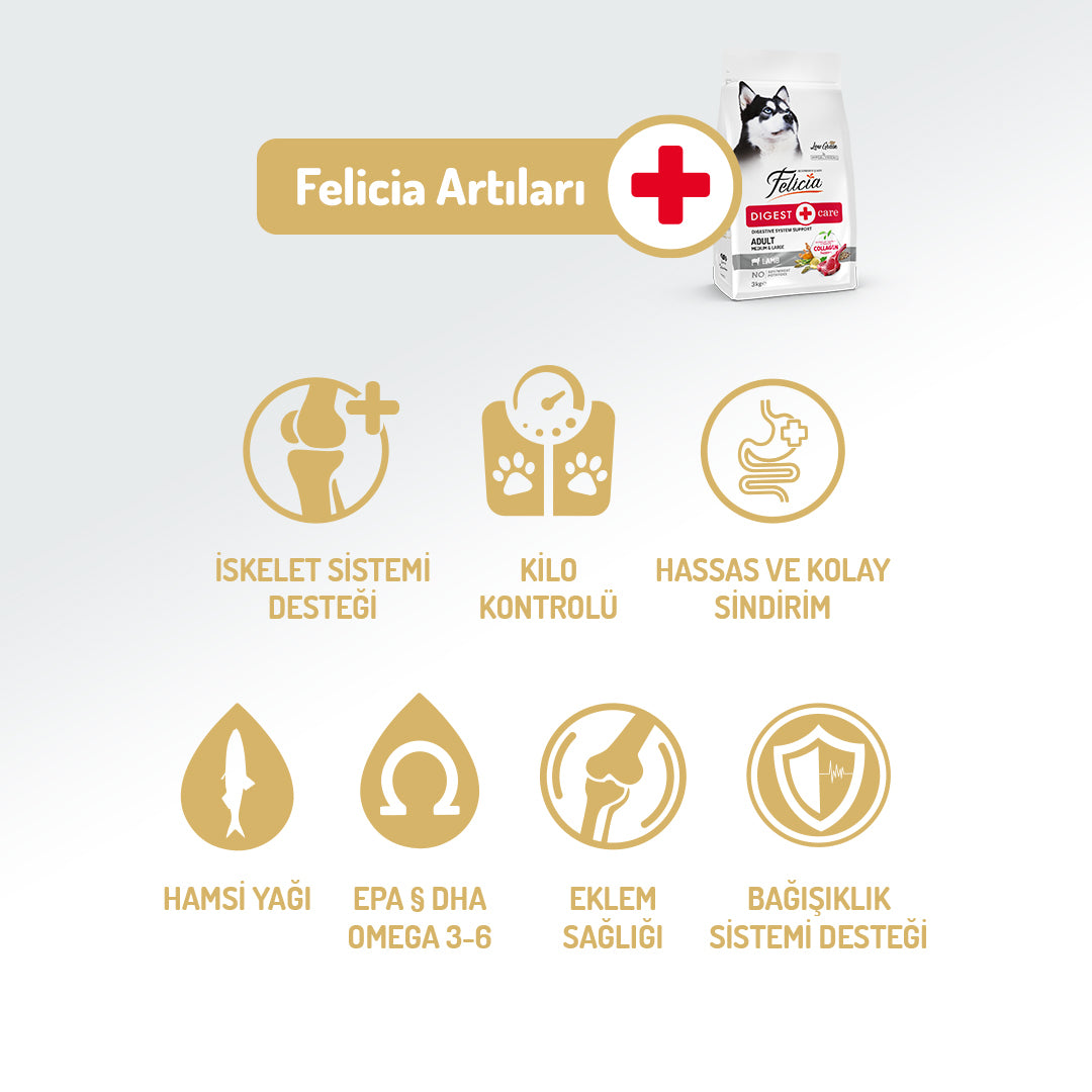 Felicia Kolajen Destekli Hipoalerjenik Kuzulu Yetişkin Köpek Maması 3KG