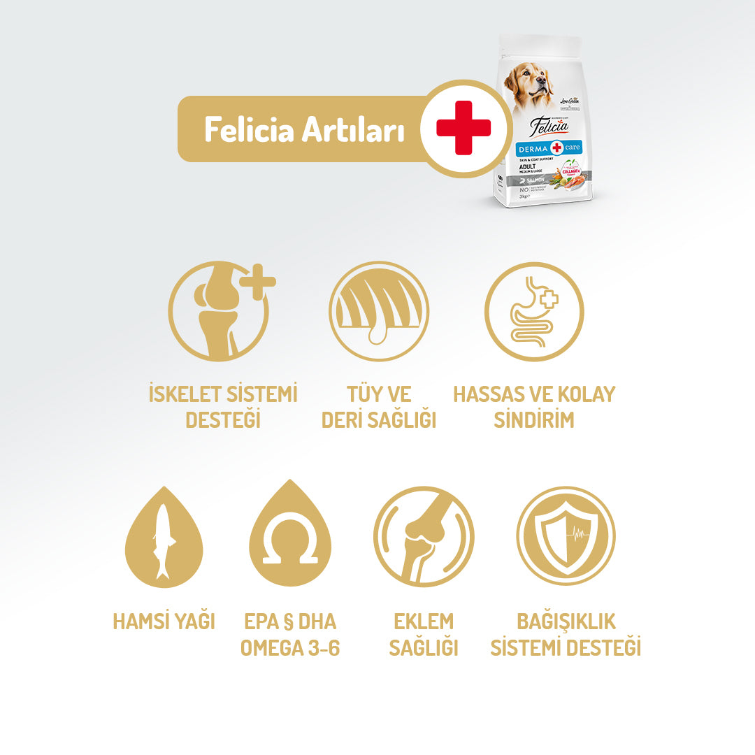 Felicia Kolajen Destekli Hipoalerjenik Somonlu Yetişkin Köpek Maması 3KG