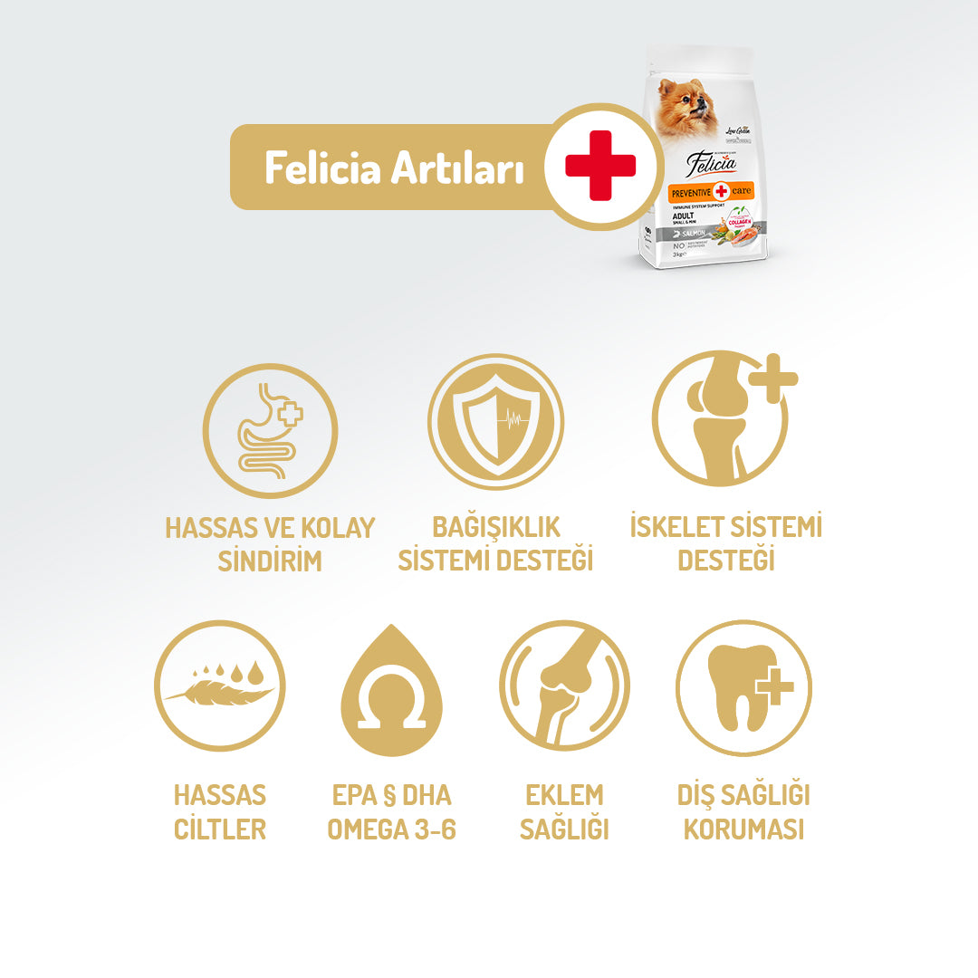 Felicia Kolajen Destekli Hipoalerjenik Somonlu Yetişkin Küçük Irk Köpek Maması 3KG