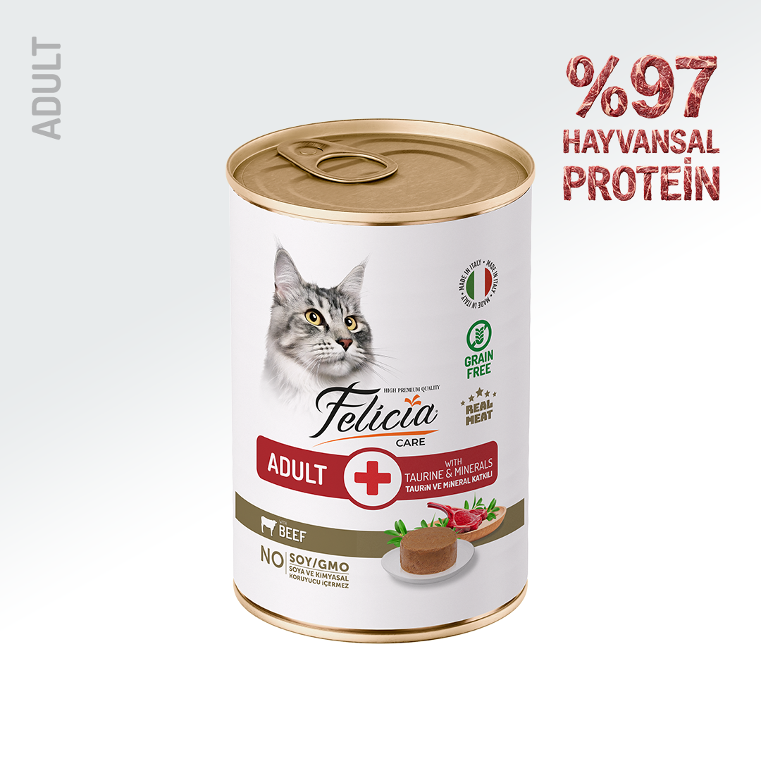 Felicia Yetişkin Tahılsız Biftekli Kedi Konserve 400g