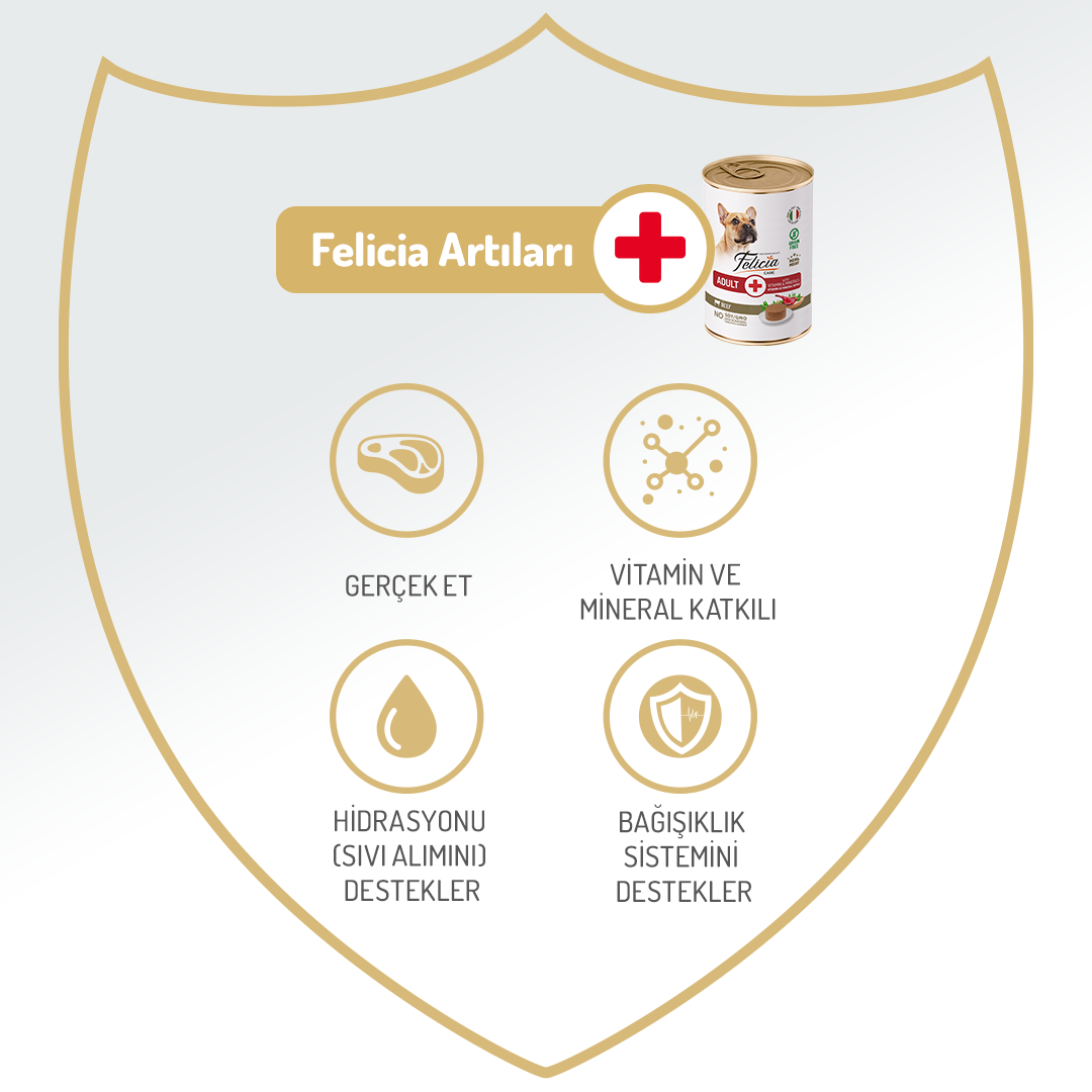 Felicia Yetişkin Tahılsız Biftekli Köpek Konserve 400g