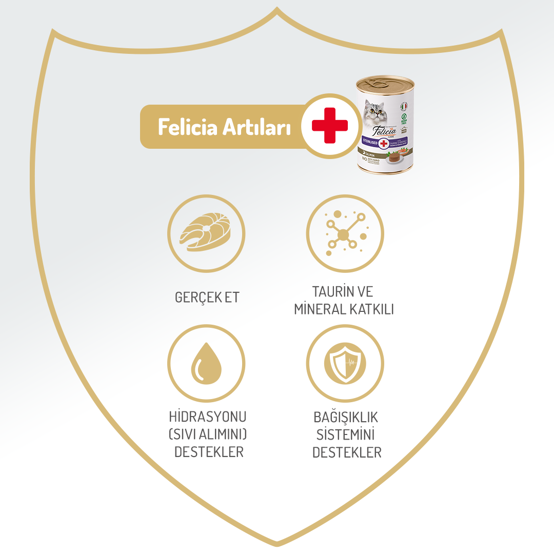 Felicia Kısır Tahılsız Somonlu Kısırlaştırılmış Kedi Konserve 400g