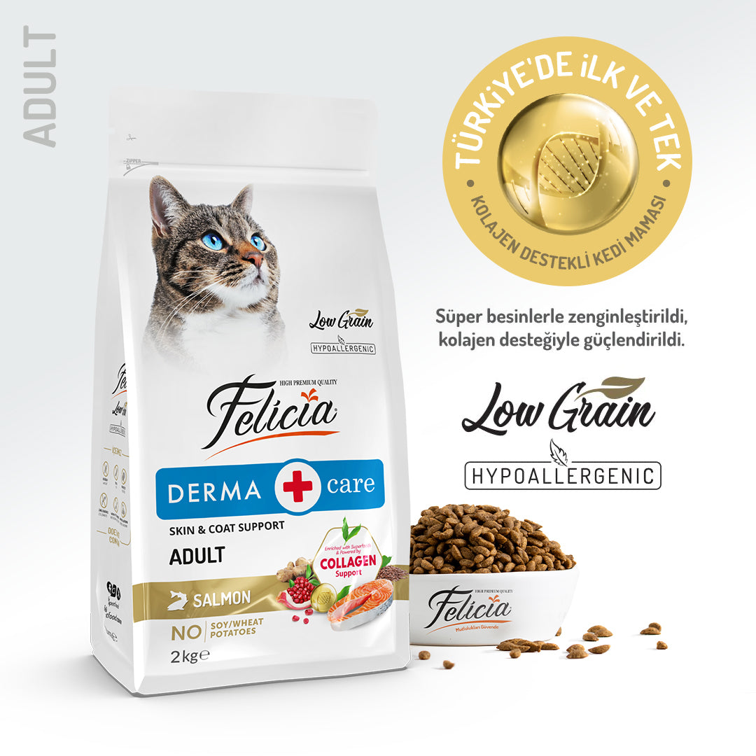 Felicia Kolajen Destekli Hipoalerjenik Somonlu Yetişkin Kedi Maması 2KG