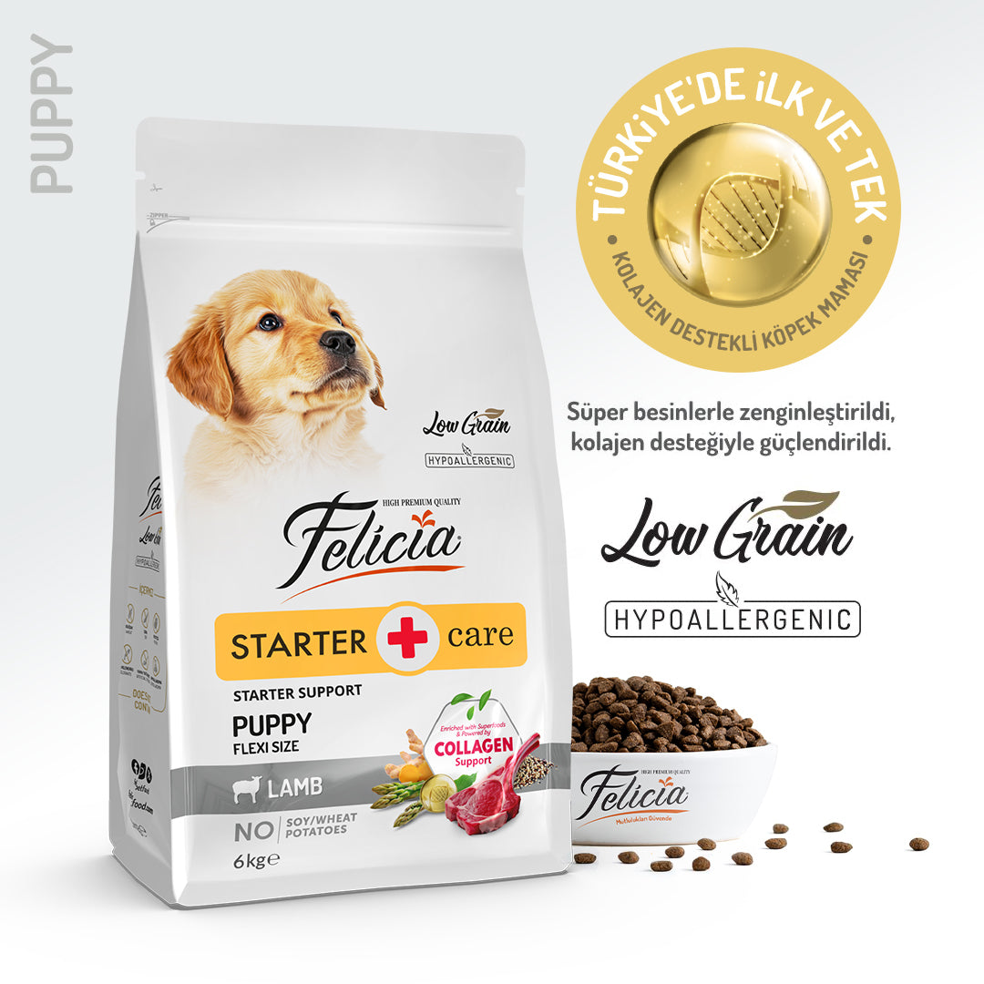 Felicia Kolajen Destekli Hipoalerjenik Kuzulu Yavru Köpek Maması 6KG