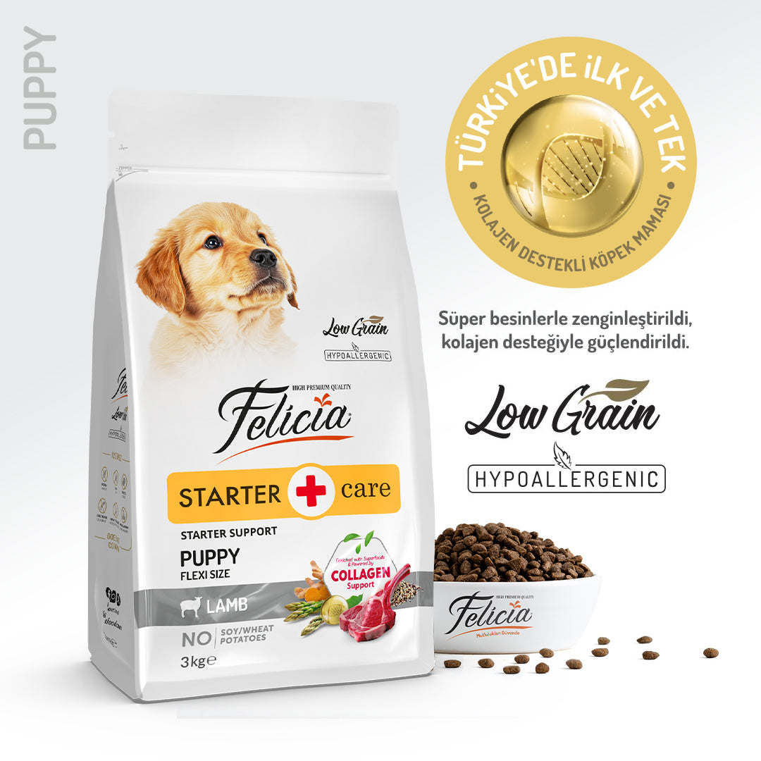Felicia Kolajen Destekli Hipoalerjenik Kuzulu Yavru Köpek Maması 3KG