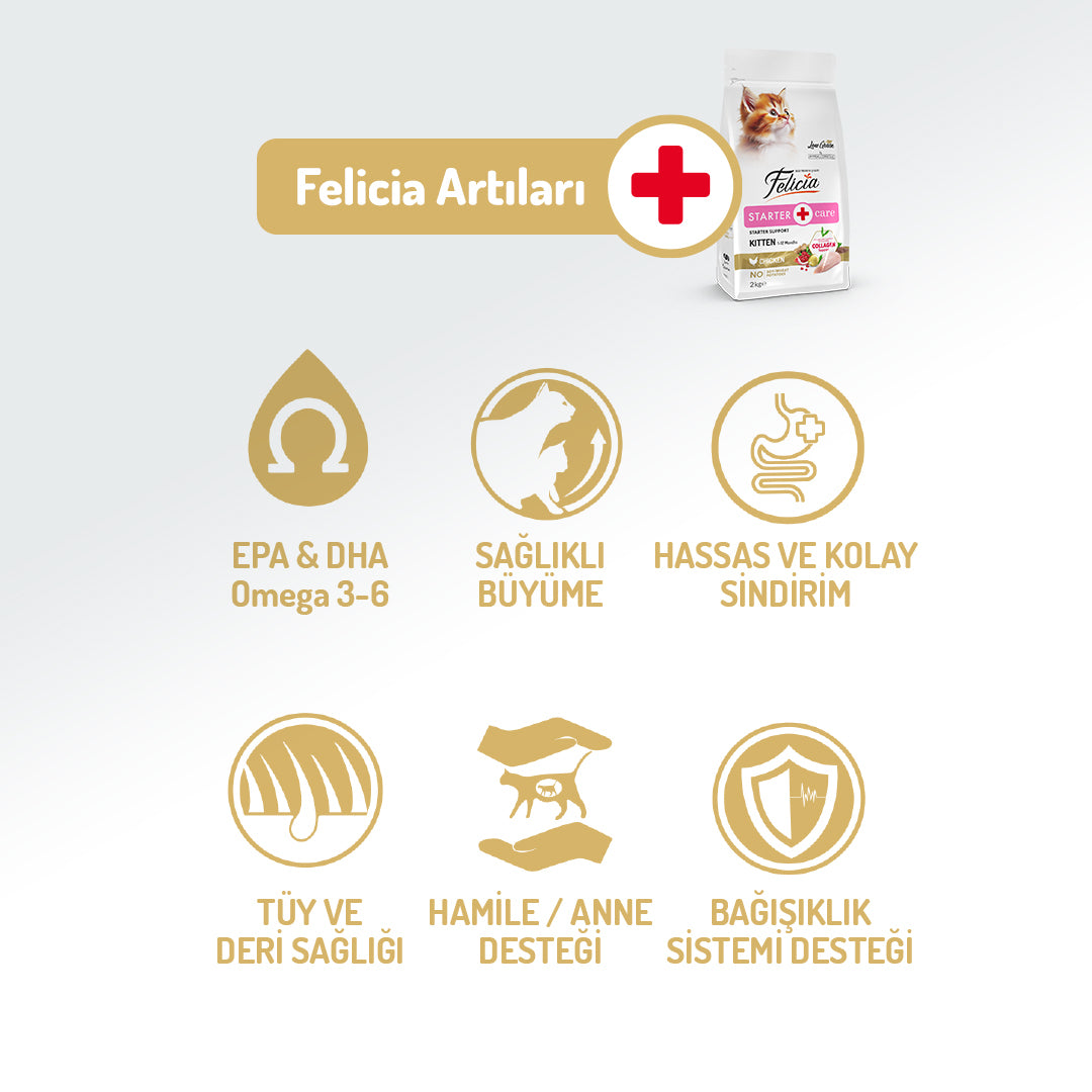 Felicia Kolajen Destekli Hipoalerjenik Tavuklu Yavru Kedi Maması 2KG