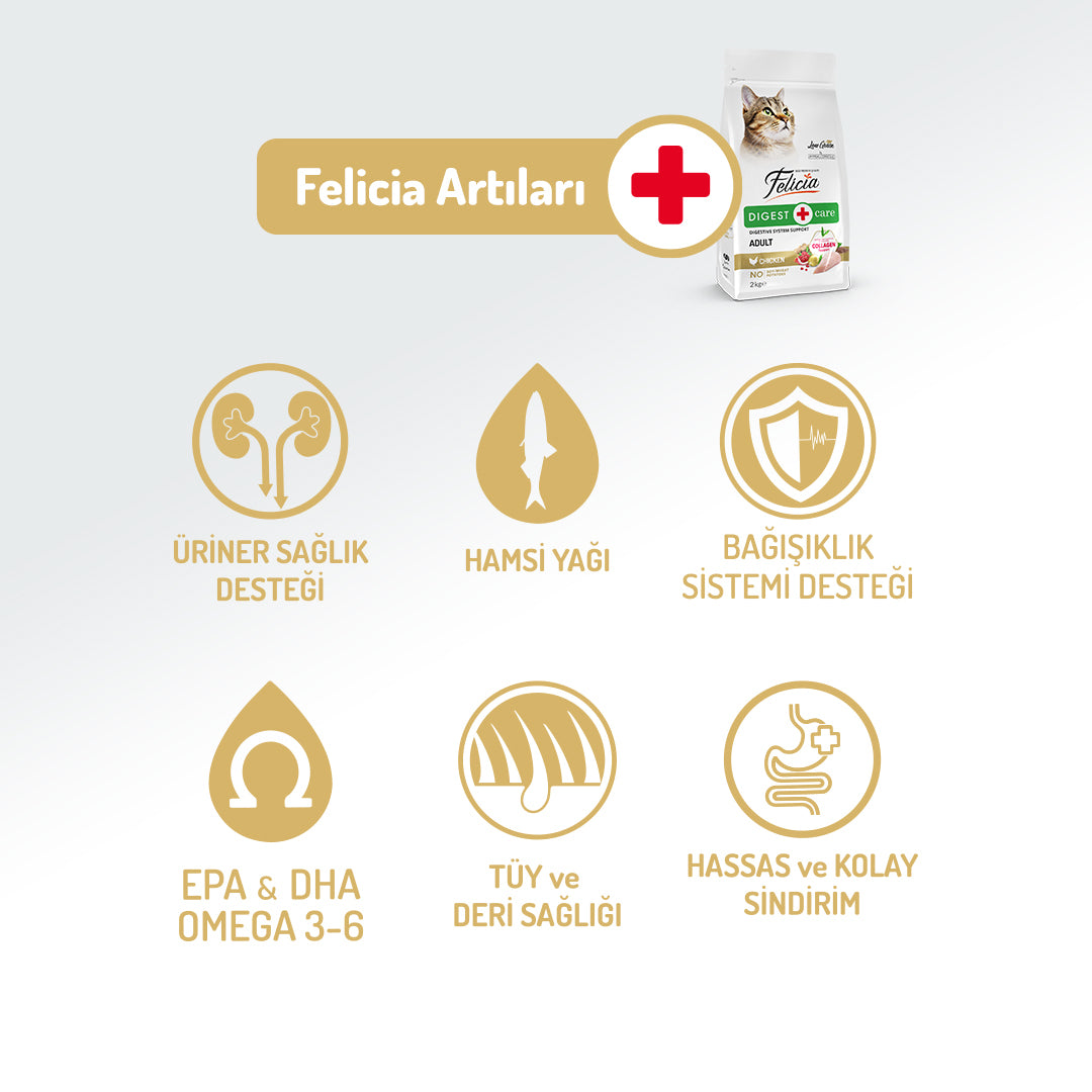 Felicia Kolajen Destekli Hipoalerjenik Tavuklu Yetişkin Kedi Maması 2KG
