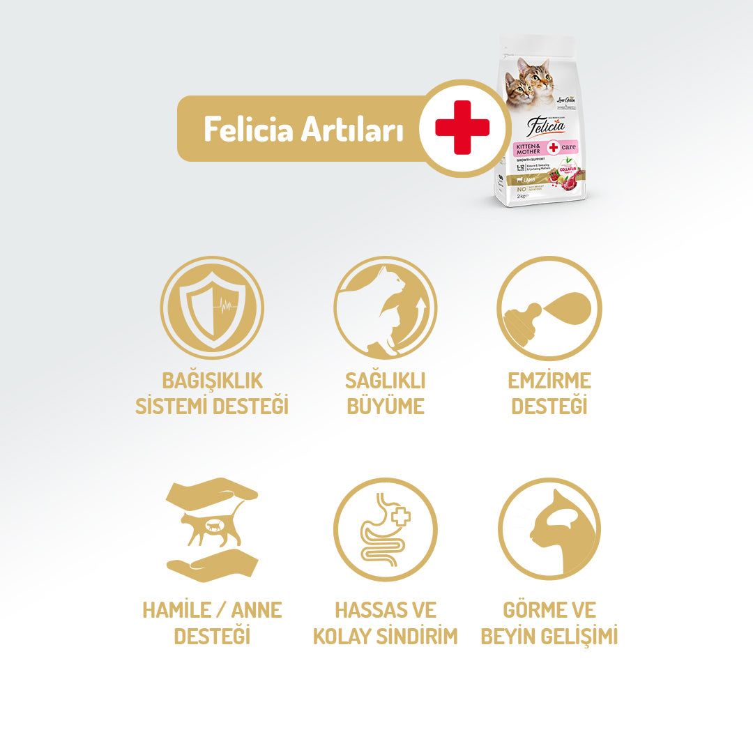 Felicia Kolajen Destekli Hipoalerjenik Kuzulu Yavru ve Anne Kedi Maması 2KG