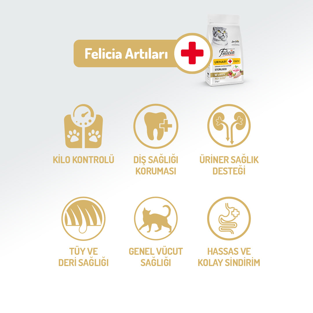 Felicia Kolajen Destekli Hipoalerjenik Tavuklu Kısırlaştırılmış Yetişkin Kedi Maması 2KG
