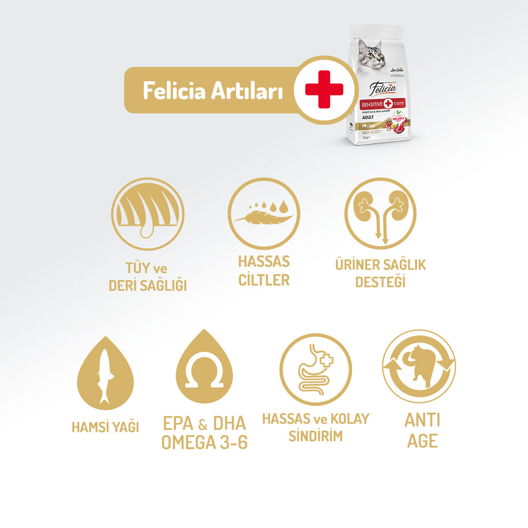 Felicia Kolajen Destekli Hipoalerjenik Kuzulu Yetişkin Kedi Maması 2KG