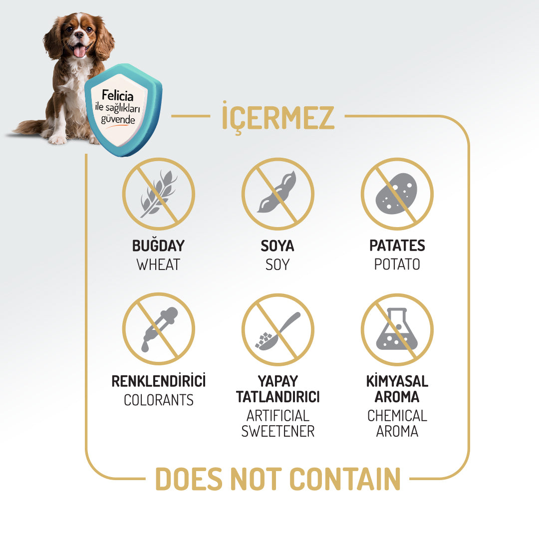 Felicia Kolajen Destekli Hipoalerjenik Kuzulu Yetişkin Köpek Maması